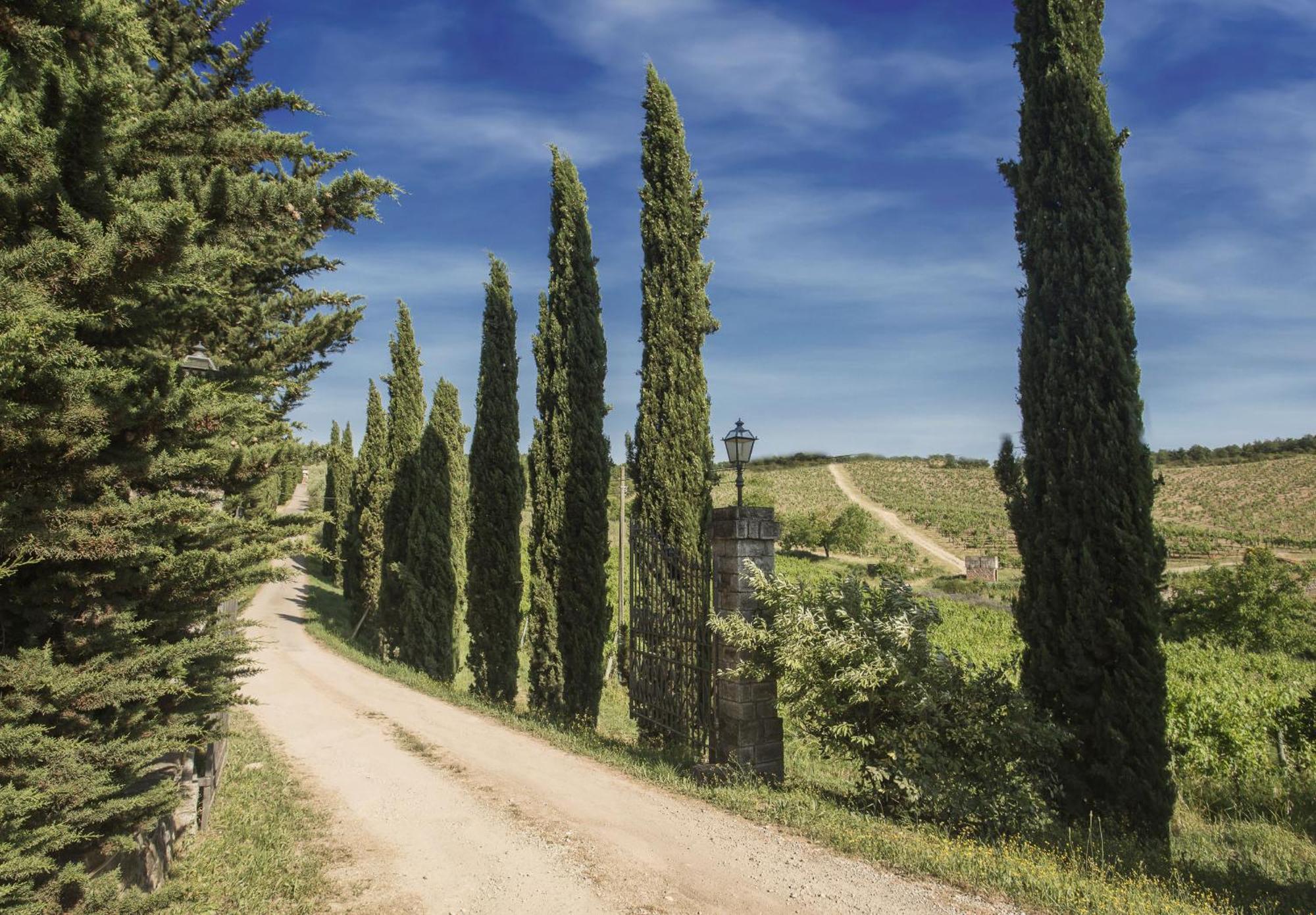 Relais Santa Cristina Guest House Radda in Chianti Eksteriør bilde